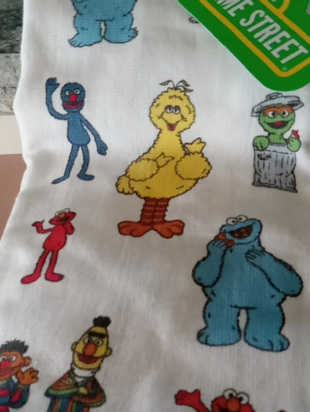 Sesame Street  Character Print Kitchen Towel Set